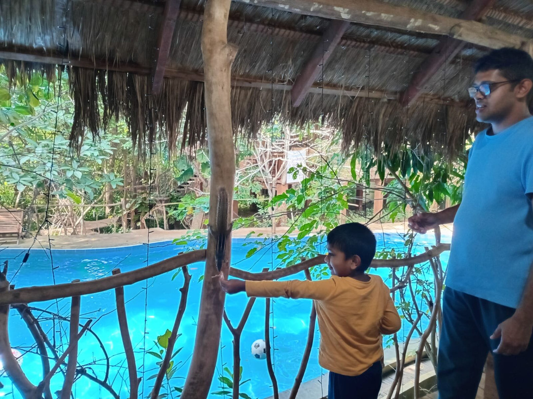 穆图村旅馆主图