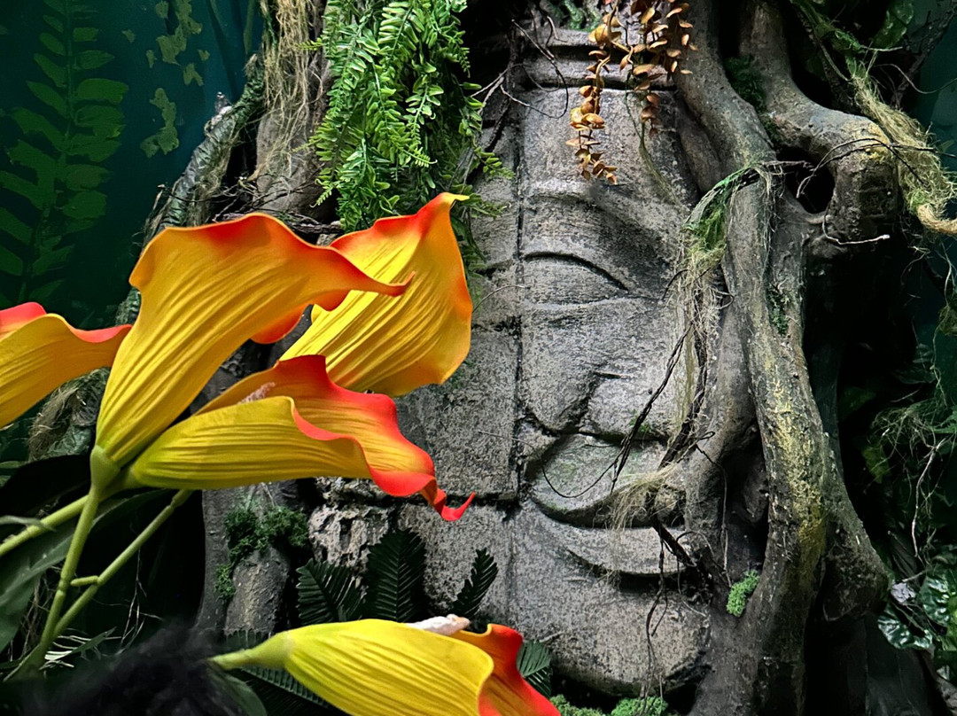 Menekülj Entertainment Center-维斯普雷姆必去景点