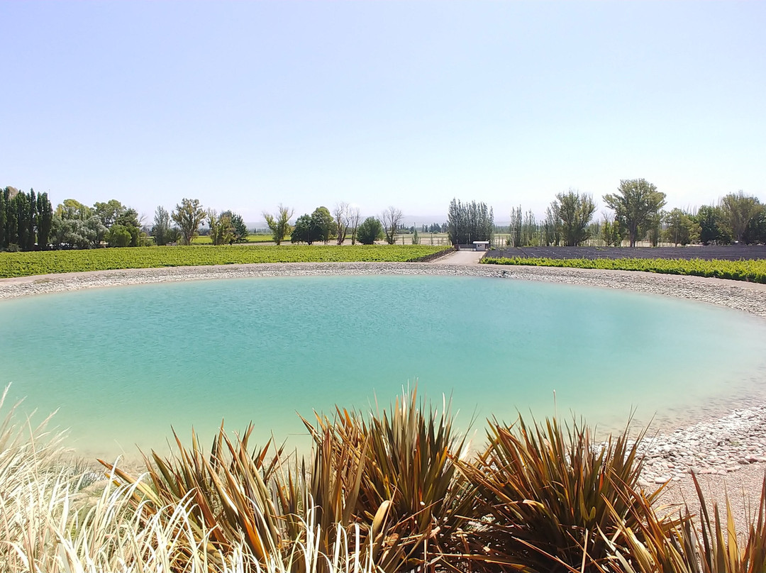 Borravino Wine Tours Spain-毕尔巴鄂必去景点