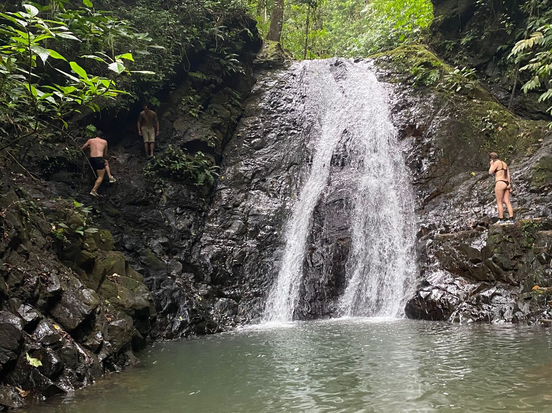 Emanuel waterfalls tours景点图片