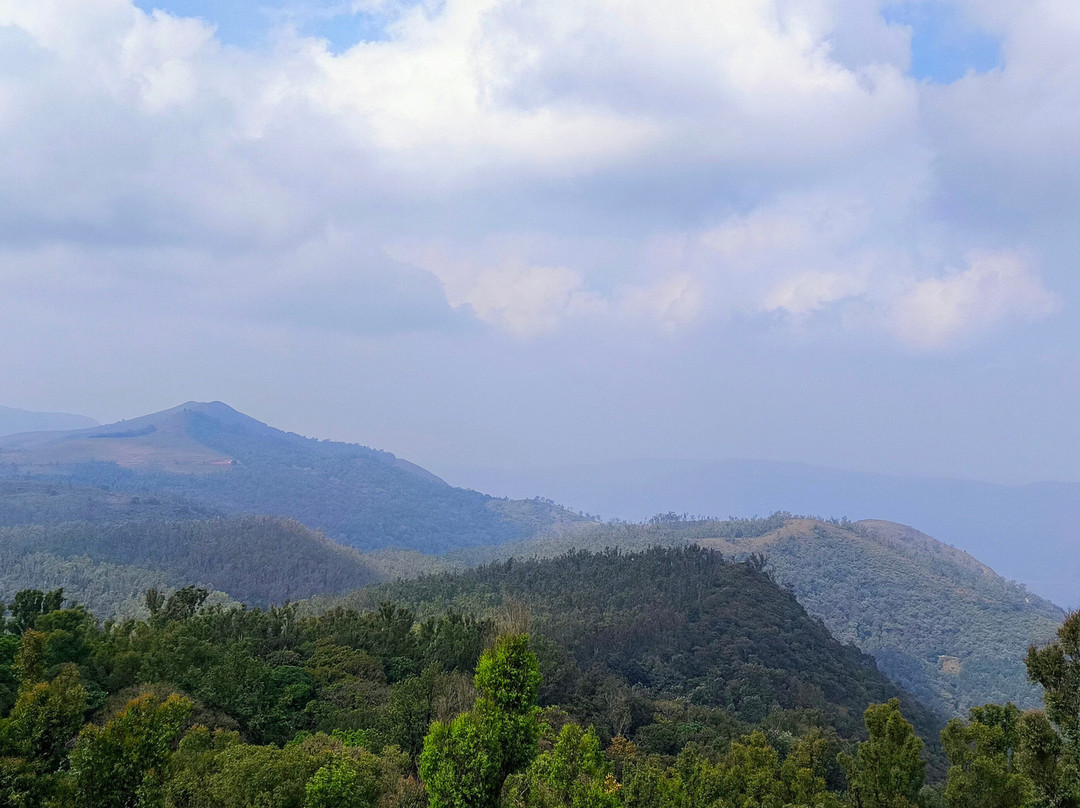 Kemmangundi Peak景点图片
