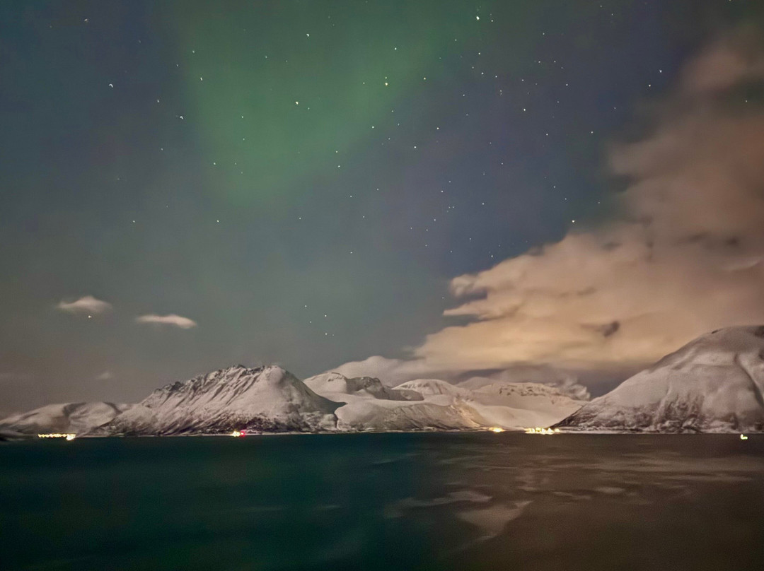 Lofoten Opplevelser景点图片