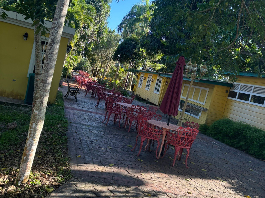 El Oasis Hotel