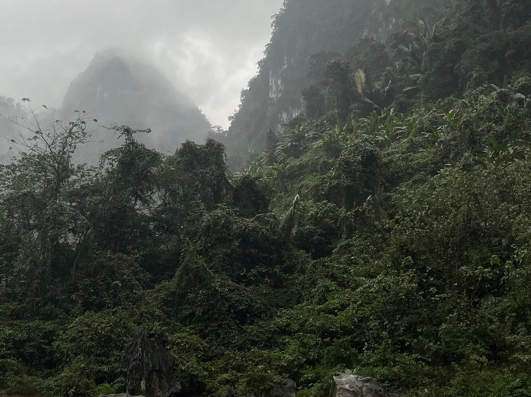 Green Land Tour景点图片