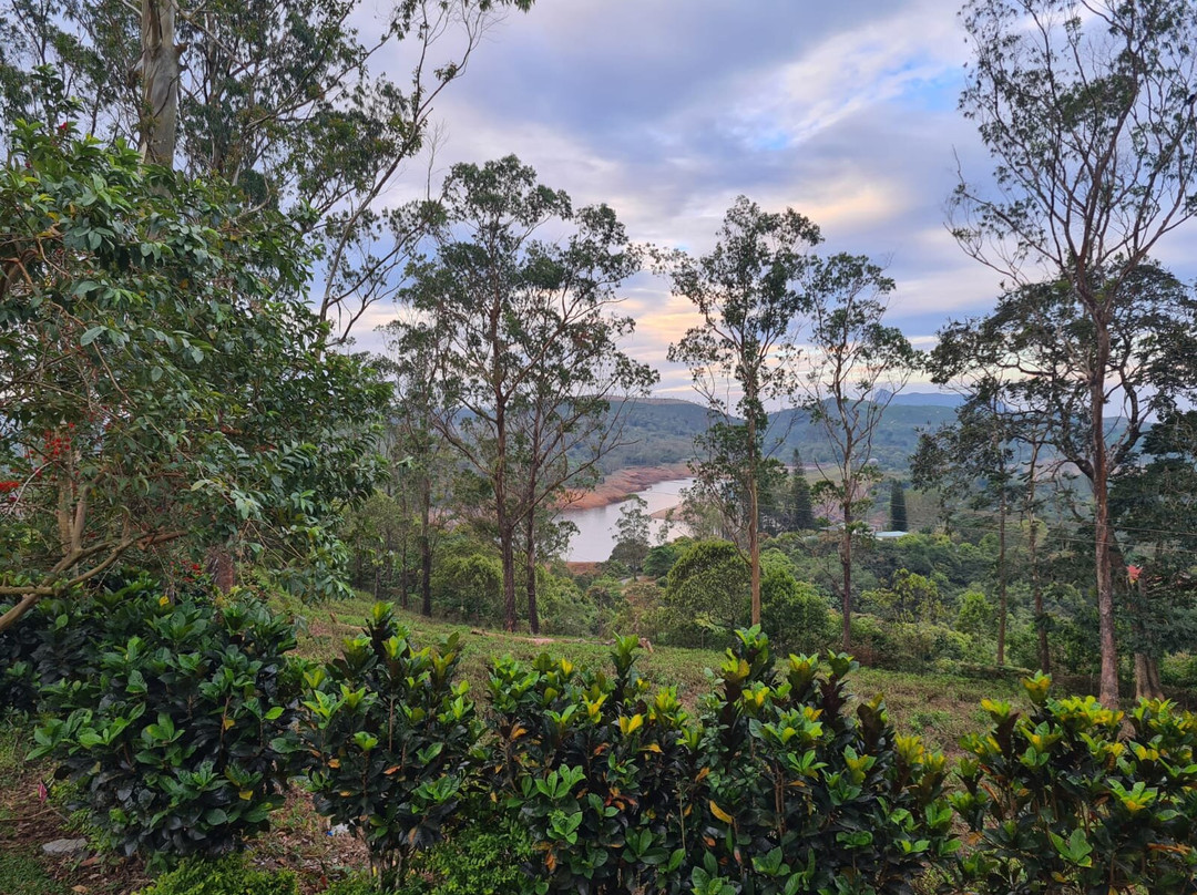 Star Tea Estate Bungalow主图