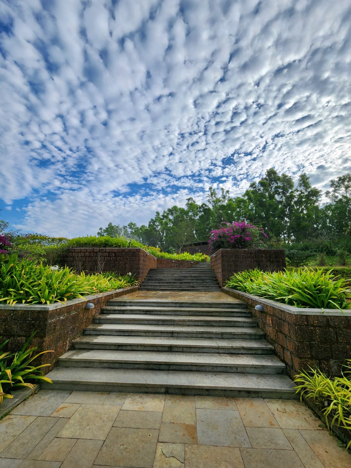 Machaan Plantation Resort-浴室