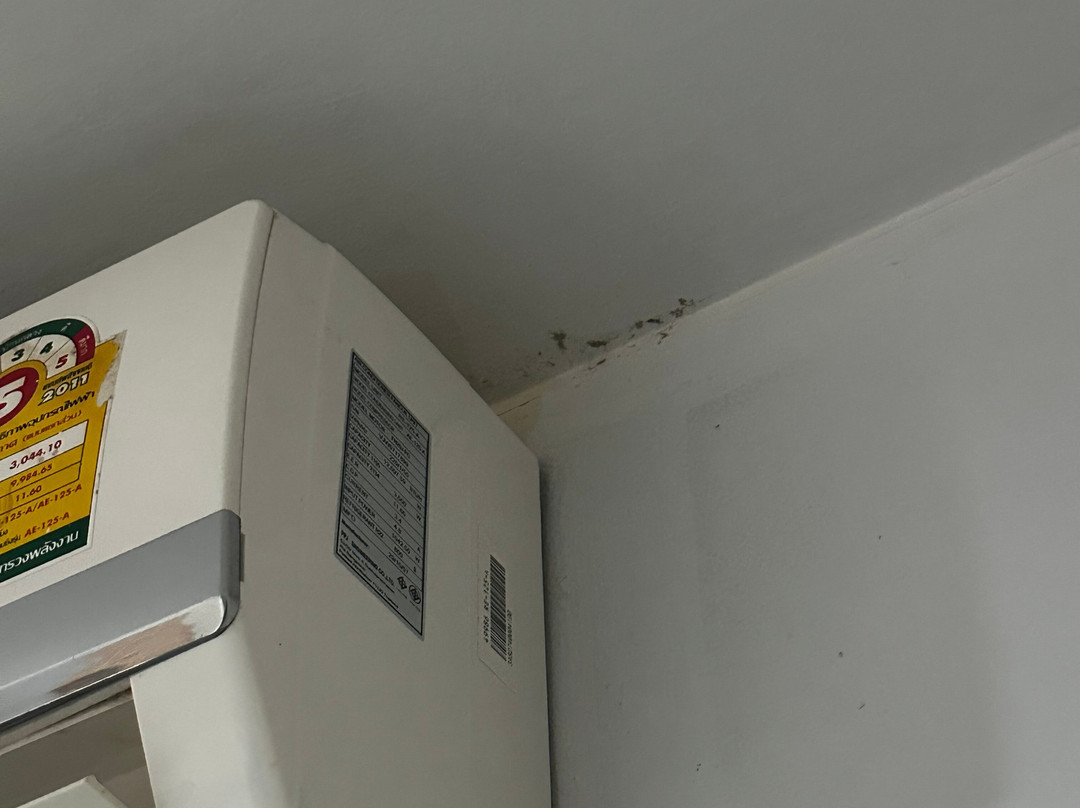 兰达尼斯海滩度假村主图