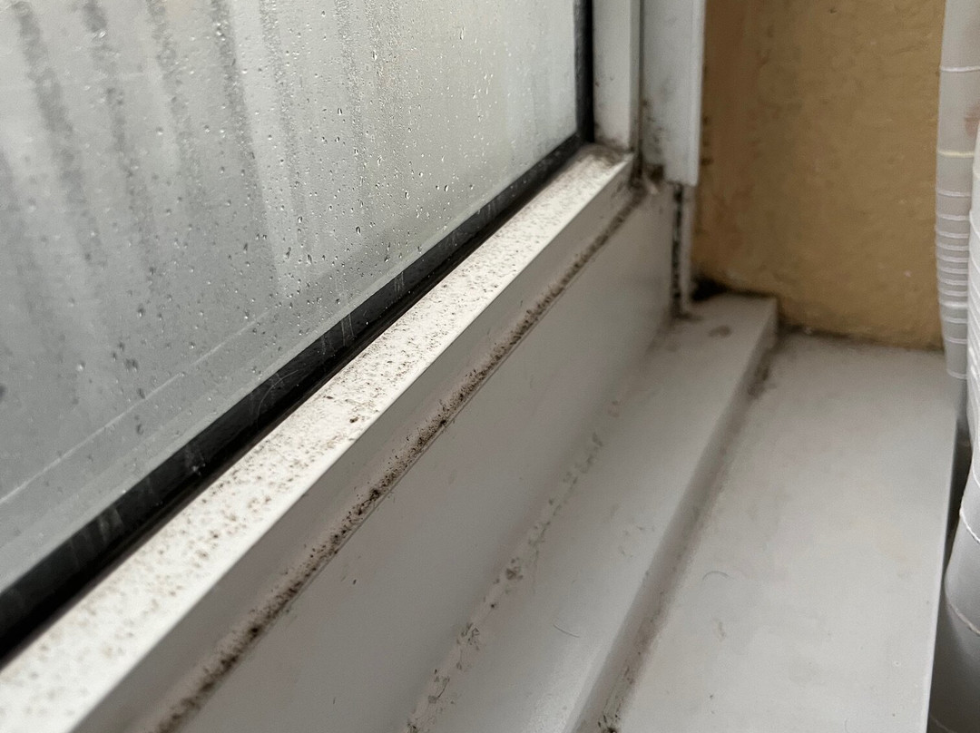 La Quinta Inn & Suites by Wyndham Sunrise主图