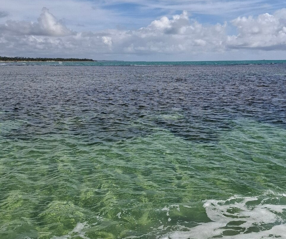 GG TUR-Japaratinga必去景点