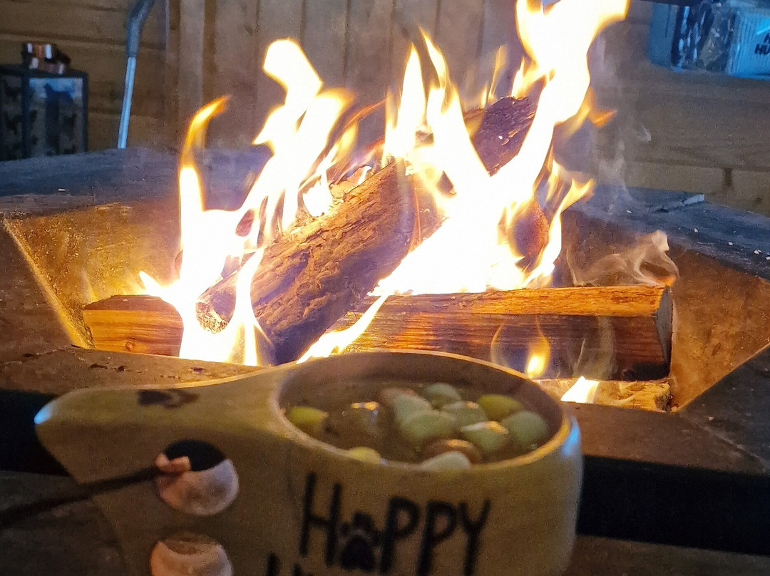 Happy Huskies-伊瓦洛必去景点