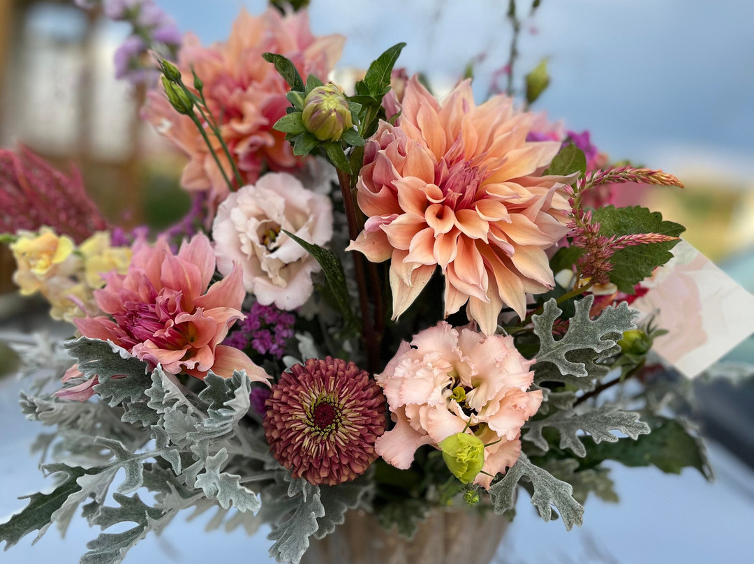 Dahlia Valley Ranch-Arnold必去景点