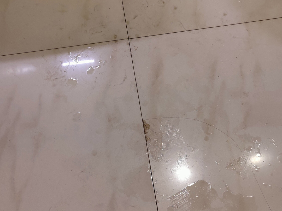 Hotel Sheela Towers主图