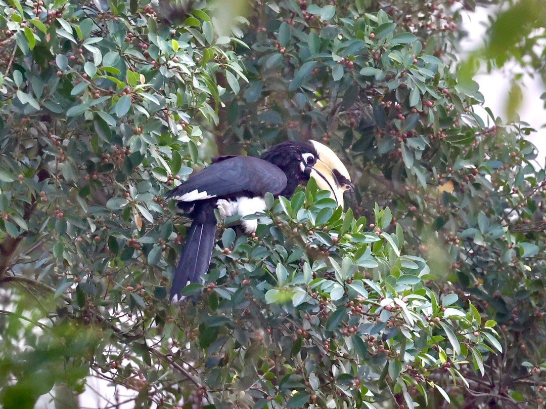 Simala Retreat, Baiguney主图