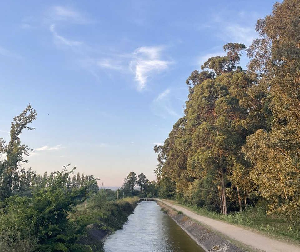 Choupal National Forest-科英布拉区必去景点