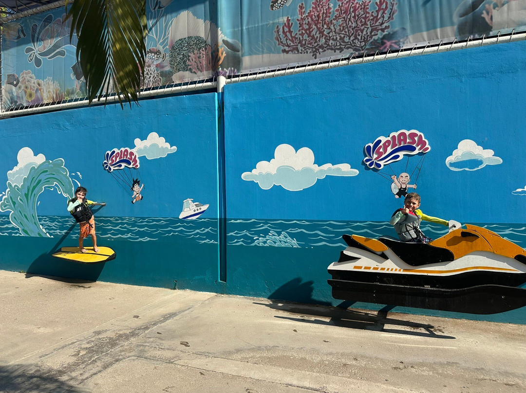 Splash Parque Acuático Vallarta-新瓦雅塔必去景点