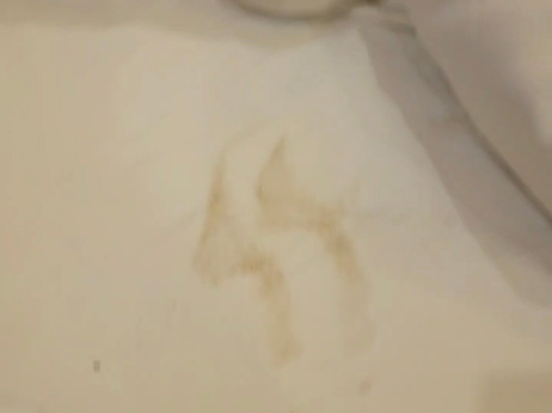 Nature's Dreamland主图