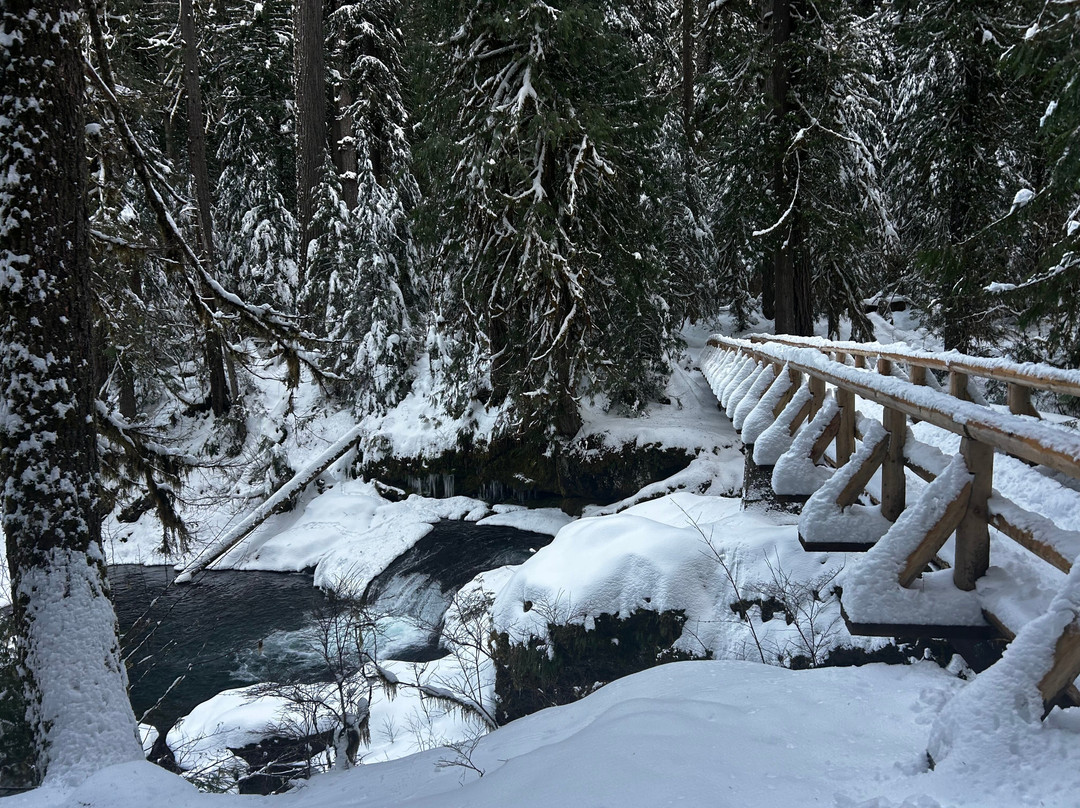 Bagby Hot Springs-Estacada必去景点