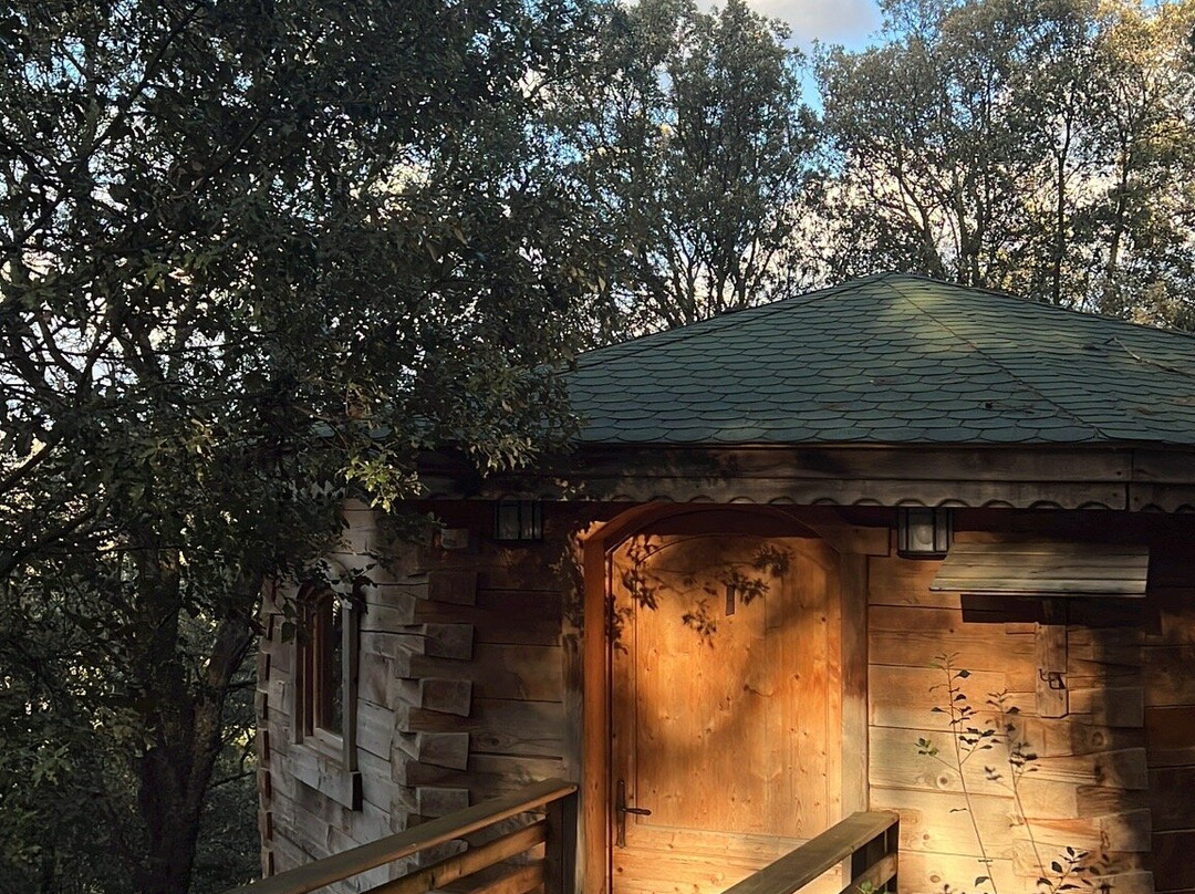 Les Cabanes Dans Les Bois  Logis Hôtel主图