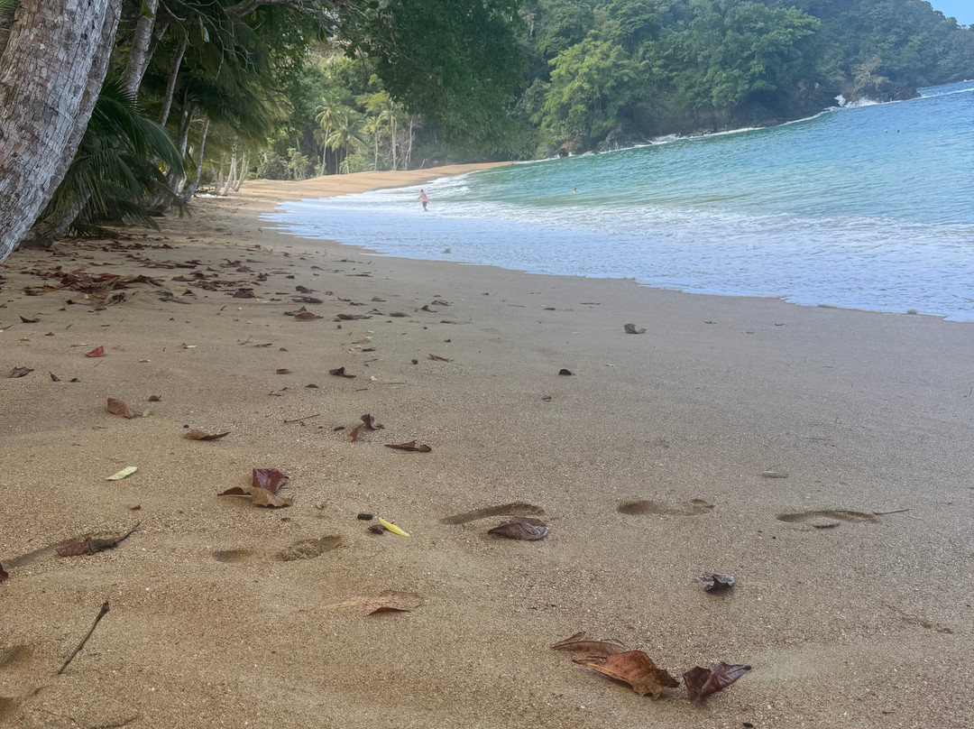 Englishman's Bay-多巴哥必去景点