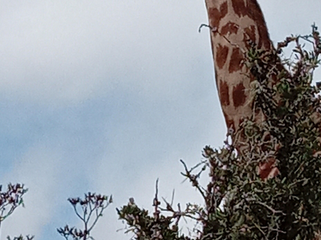 Tygerfontein Safari Tents