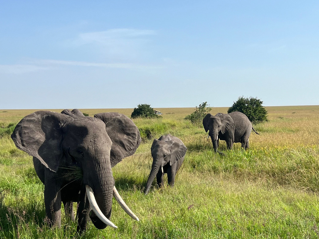 Southern Cross Safaris-温德和克必去景点