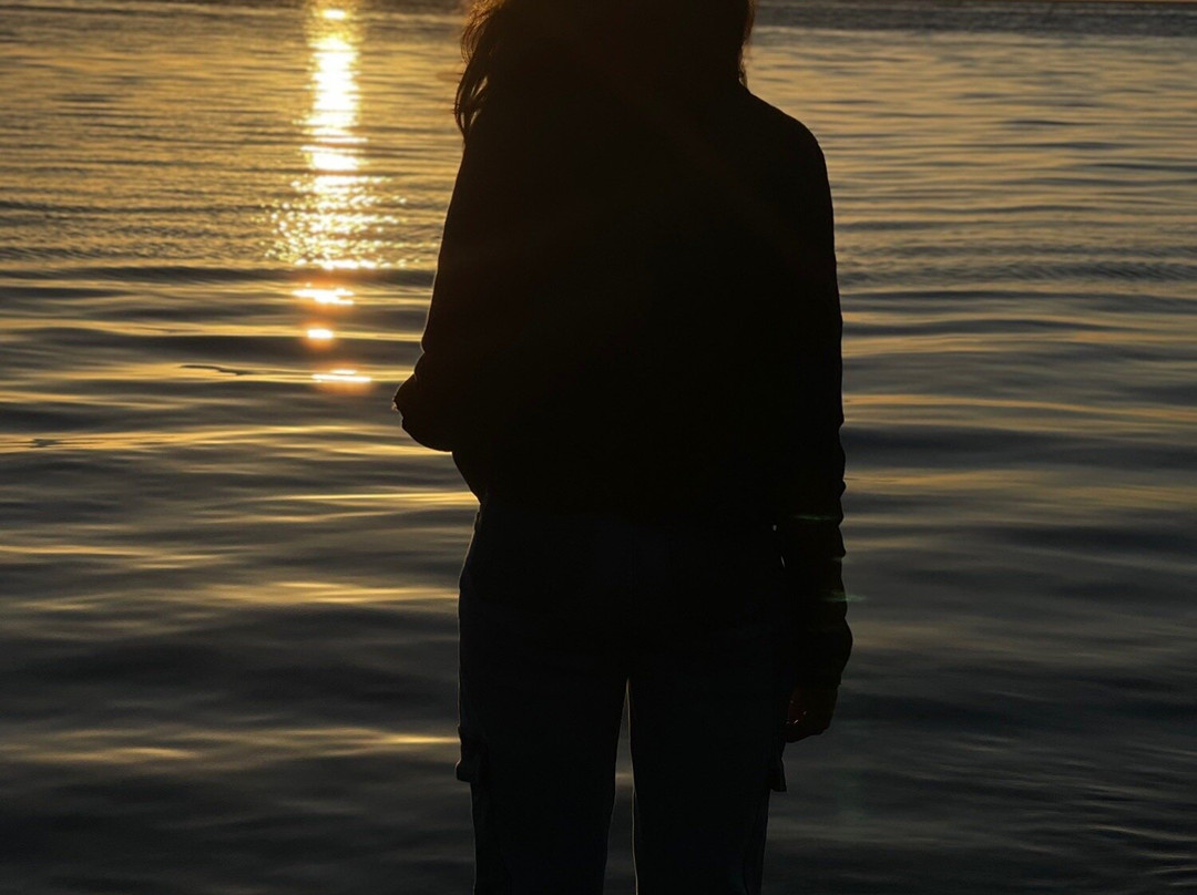 Canopy Chile-巴拉斯港必去景点