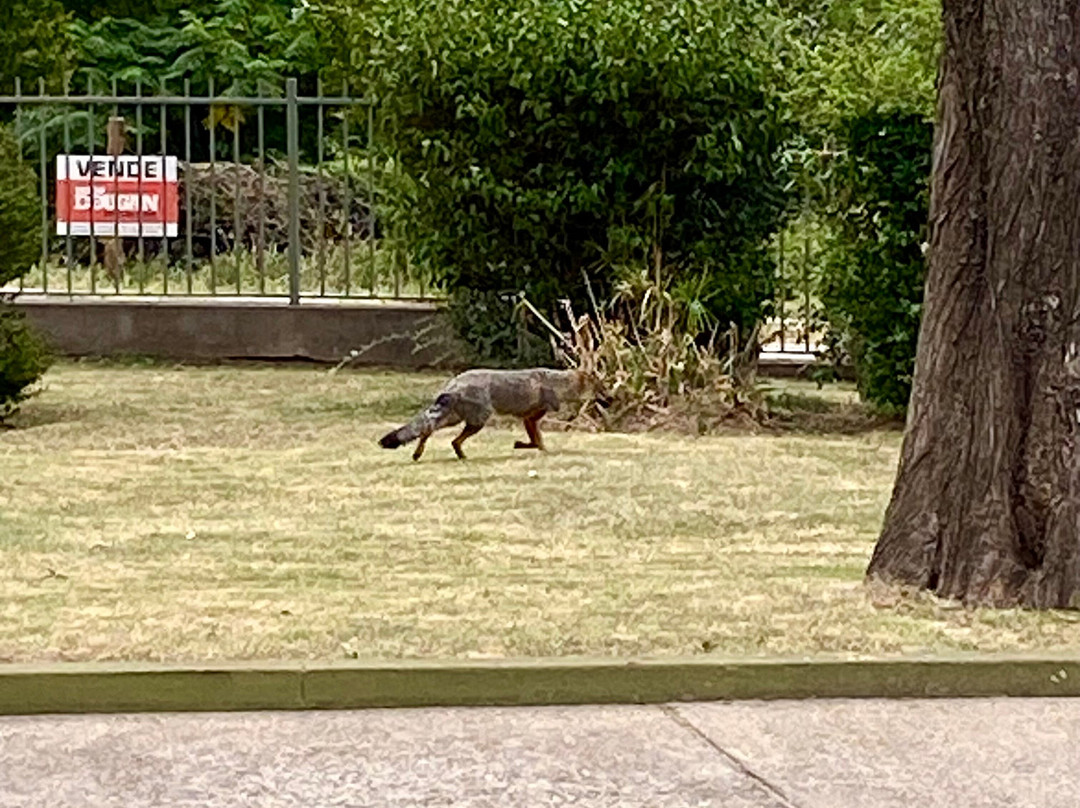 El Condor Hotel Spa主图