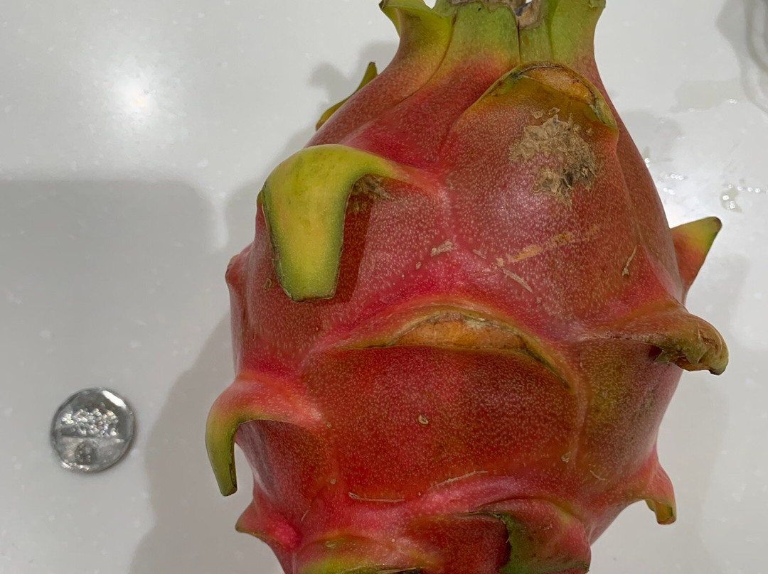 Landmark Makati-马卡蒂必去景点