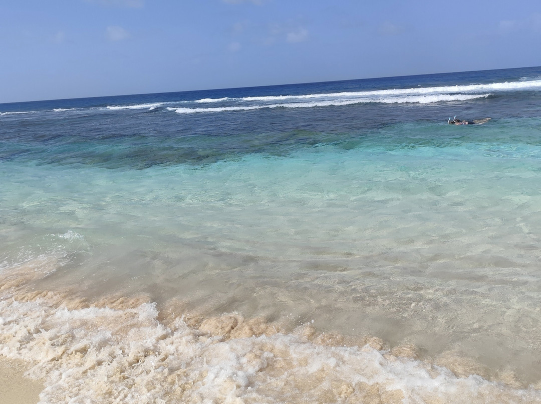 Anse Laborde-Anse-Bertrand必去景点