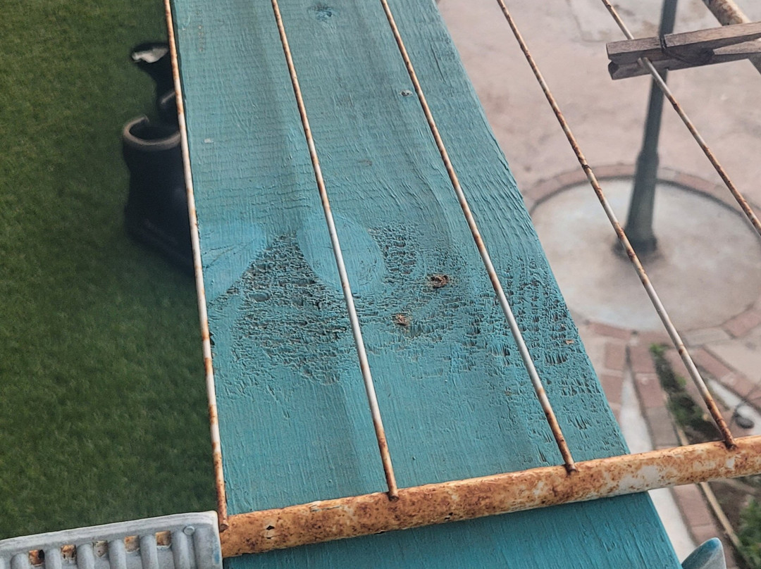 Serene By The Sea主图