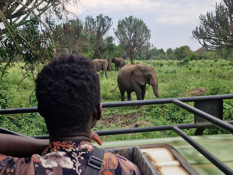 Lalu African Tours-恩德培必去景点