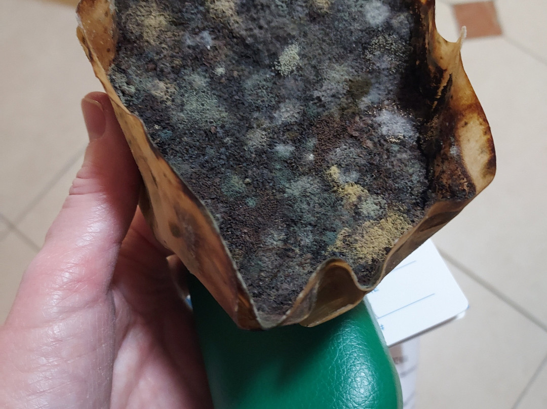 Divi Southwinds Beach Resort主图