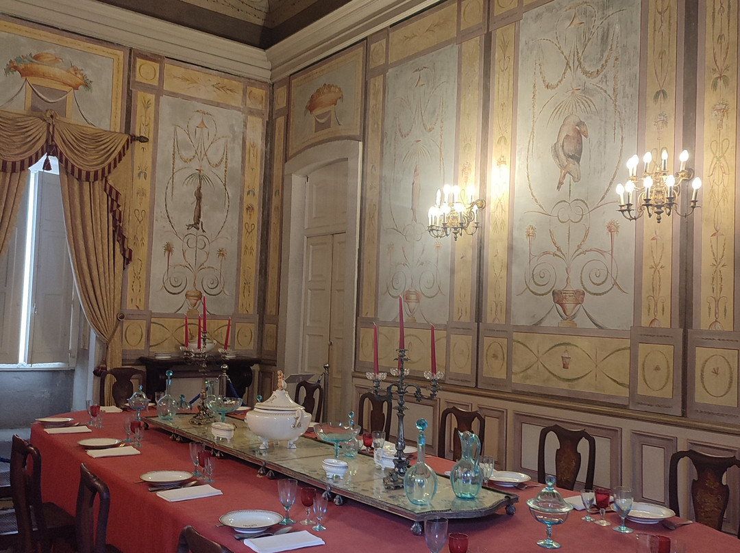 Palacio dos Condes de Anadia景点图片