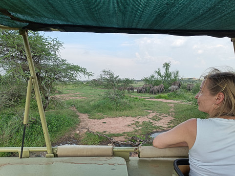 Tanzania Rollers Safari-阿鲁沙必去景点