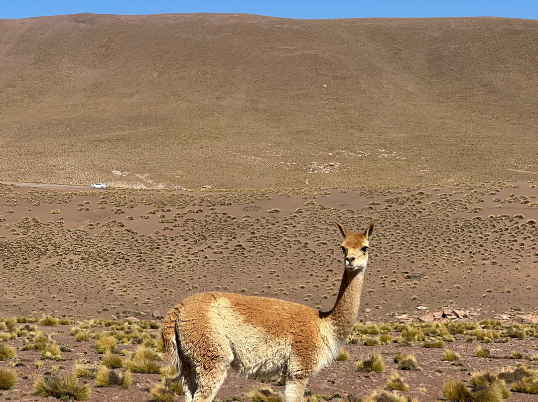 Agencia Atacama On The Road-圣佩德罗-德阿塔卡马必去景点