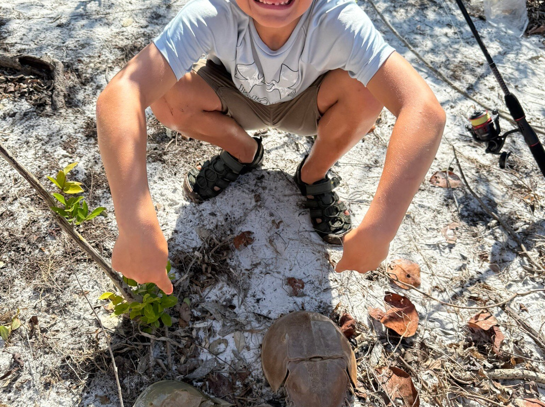 Emerson Point Preserve-Palmetto必去景点