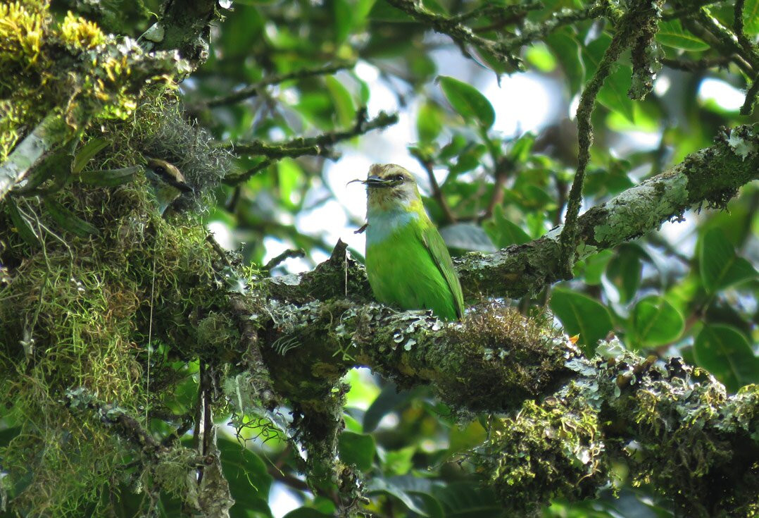 Wild Card Adventure-Kamwenge必去景点