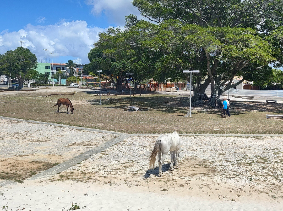 Express Receptivo & Turismo-萨尔瓦多必去景点