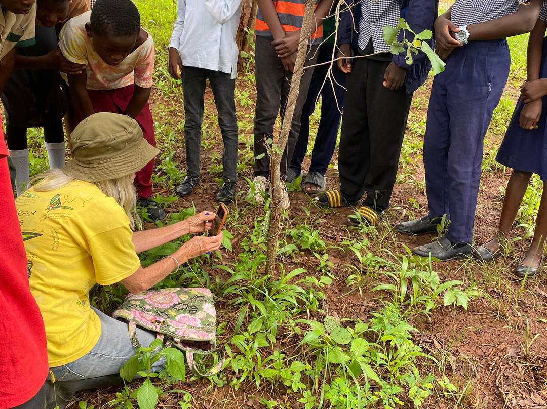 Chifwema Arboretum-卢萨卡必去景点