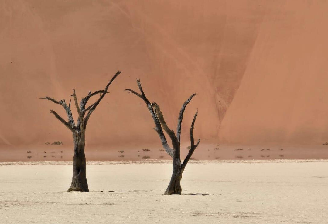 Gazzella Tours-温德和克必去景点