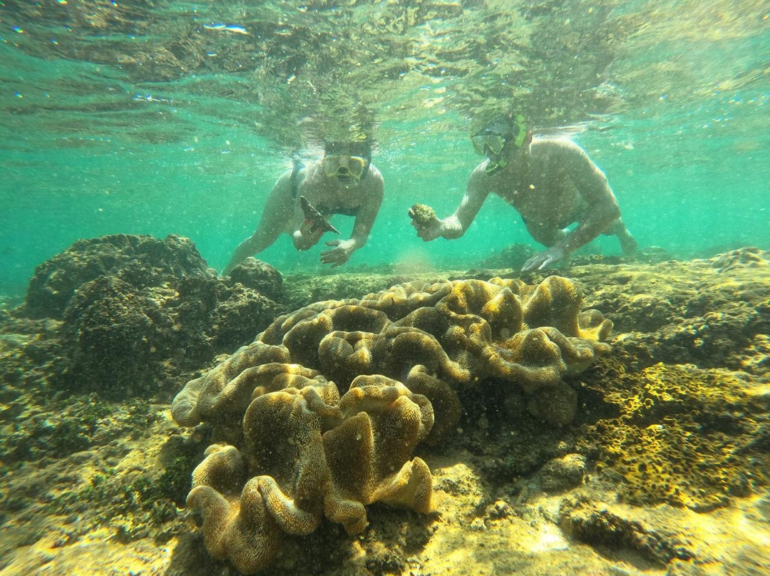Coral Sanctuary-希克杜沃必去景点