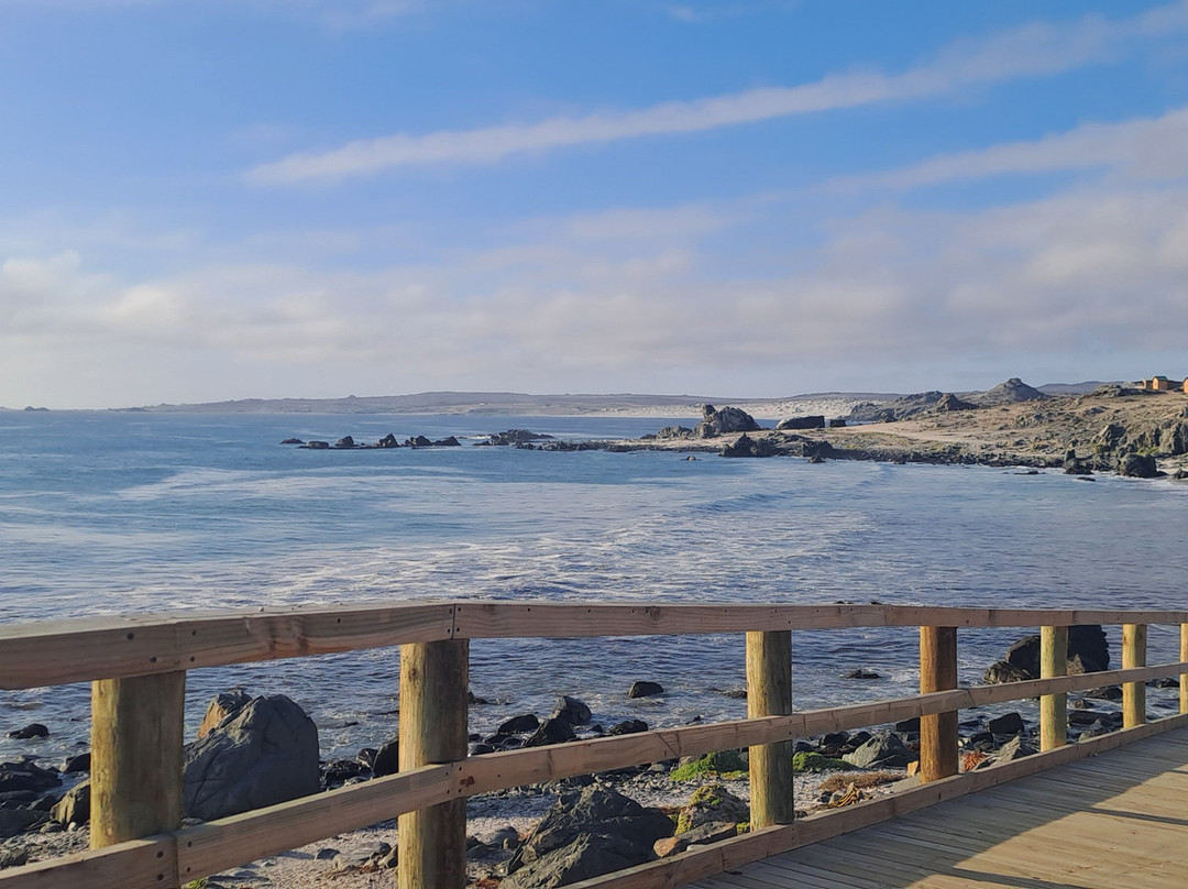 Punta Choros-拉塞雷纳必去景点