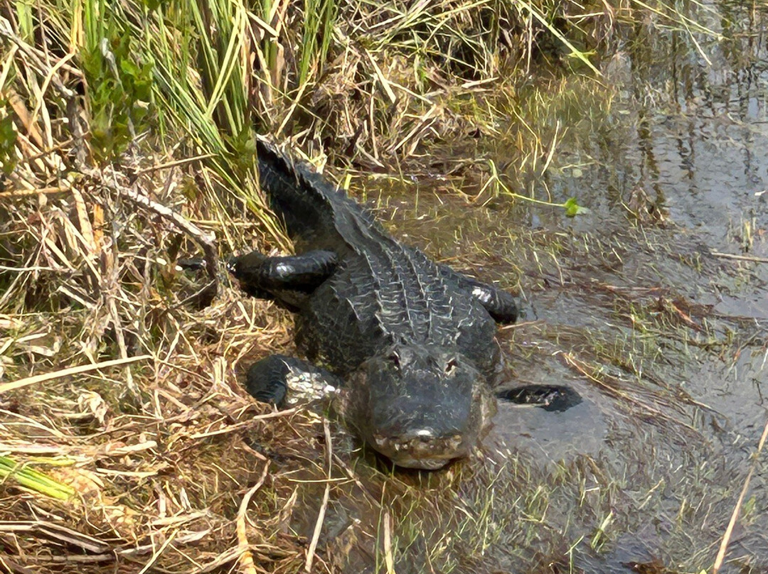 Captain Gerald Motes-Tamarac必去景点
