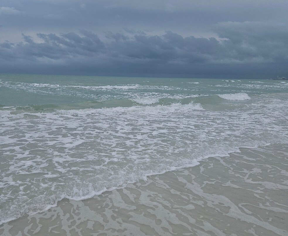 Twin Palms at Siesta主图