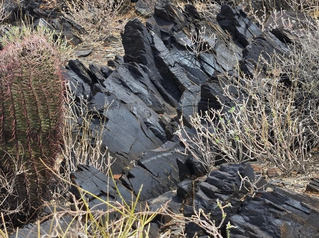 Black Mountain Trail-洞溪必去景点