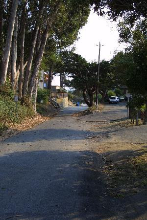 Sunny Cove Motel Apartments主图