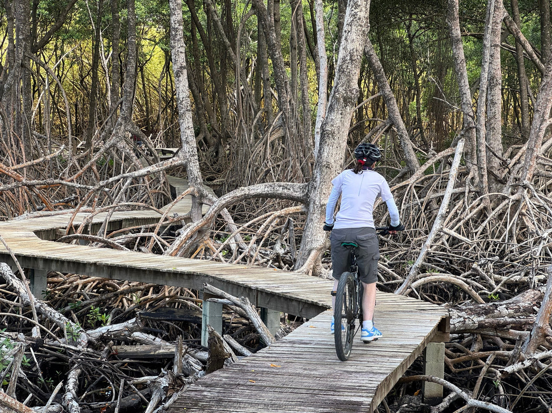 Tobago Mountain Bike Tours-多巴哥必去景点