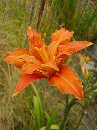 Rog's Retreat at Stockhouse Farm主图