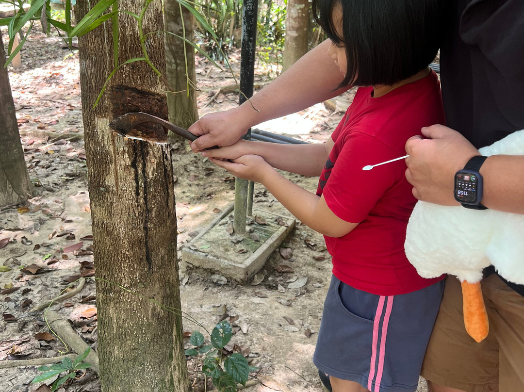 Gombizau Honey Bee Farm-古达必去景点
