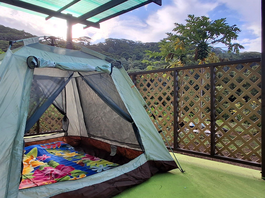Camping Nany